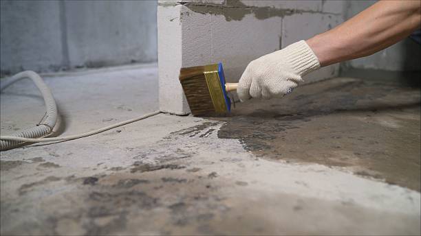 SJ Waterproofing Pros Waterproofing coverage map for Auburn, AL and surrounding area
